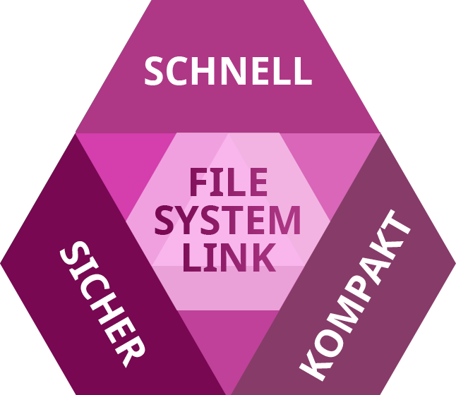 Paragon File System Link: Schnell, Sicher, Kompakt: 3fach stark!