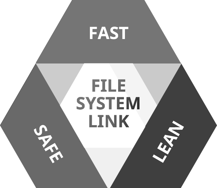 Paragon File System Link: Быстрый, Надежный, Удобный. Все сразу.