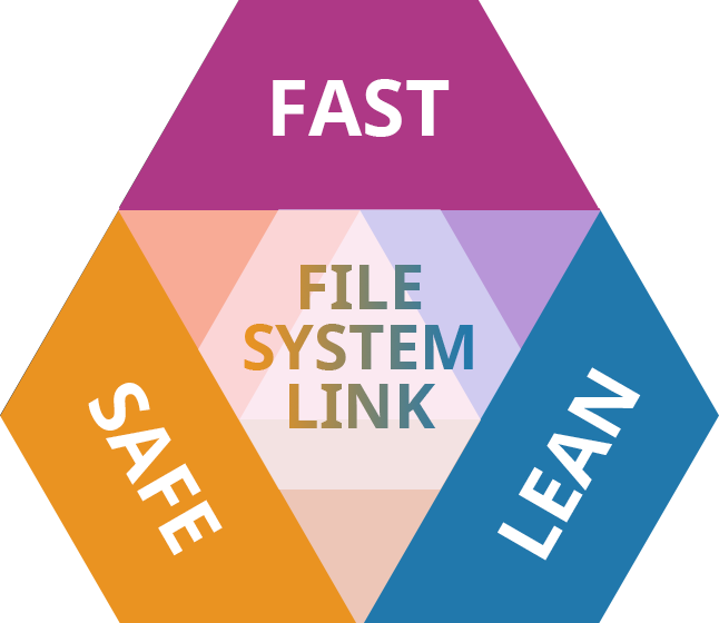 Paragon File System Link：快速、安全、精簡。三項全選。